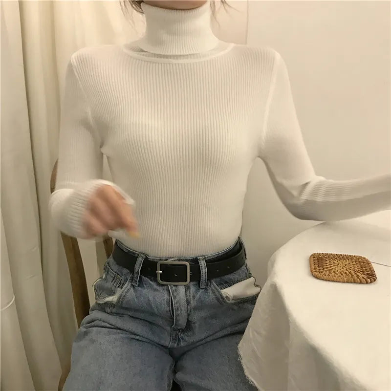 Suéter Feminino de Gola Alta